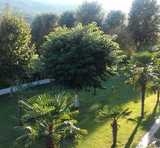 Afroditi Hotel Paralia Panteleimonos